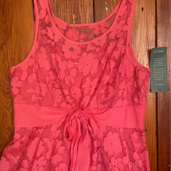 Coldwater Creek Pink Lace Overlay Dress Size 14 Lined Tie Waist Party Shower Fun - Picture 14 of 16